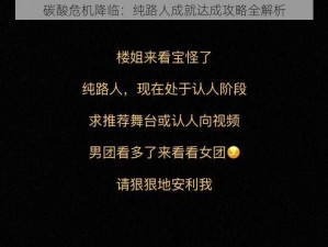 碳酸危机降临：纯路人成就达成攻略全解析