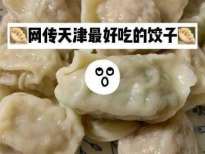 饺子为核心的美食冒险之旅：最优材料阵容搭配策略揭秘