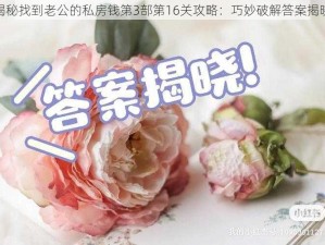 揭秘找到老公的私房钱第3部第16关攻略：巧妙破解答案揭晓