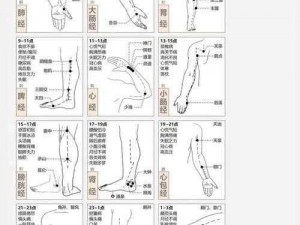 王者手游经脉系统攻略大全：玩转天下手游，掌握经脉玩法技巧详解