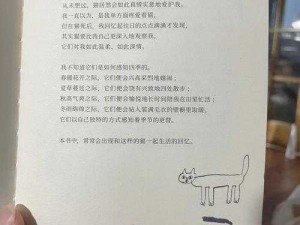 甜甜萌物语202话：猫系男生时尚搭配指南之潮流技巧解析