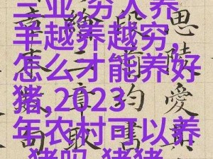 37vt最大但人文艺术(请详细阐述37vt 最大但人文艺术在不同领域的体现及意义是什么？)