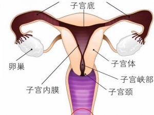 女朋友下面都湿透了还嘴硬疼是为什么？