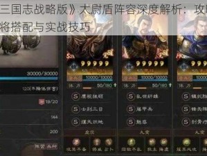 《三国志战略版》太尉盾阵容深度解析：攻略、武将搭配与实战技巧