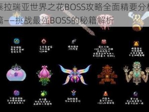 泰拉瑞亚世界之花BOSS攻略全面精要分析篇——挑战最强BOSS的秘籍解析