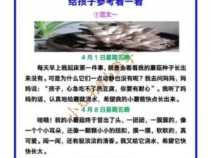 乐乐的 jianying 日记——记录成长的私密空间