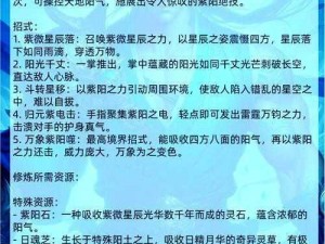 武当修炼内功还是武学招式：传统与现代的思考