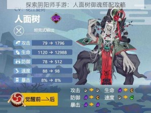 探索阴阳师手游：人面树御魂搭配攻略