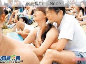 职高摸奶门_None