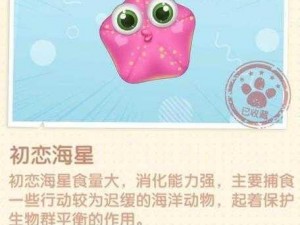 摩尔庄园手游攻略：解锁初恋海星，获得秘籍全解析