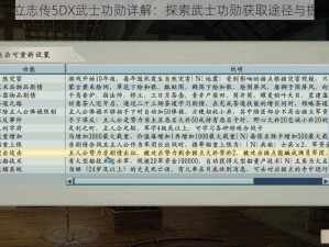 以太阁立志传5DX武士功勋详解：探索武士功勋获取途径与提升策略