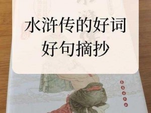 《梁山好汉之史进朱仝雷横：除暴安良，义薄云天》