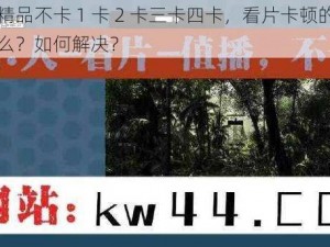 欧洲精品不卡 1 卡 2 卡三卡四卡，看片卡顿的原因是什么？如何解决？