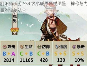 阴阳师手游 SSR 级小鹿男属性图鉴：神秘与力量的完美结合