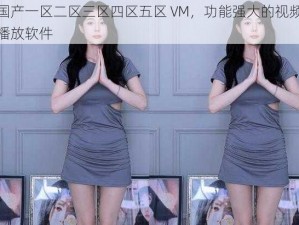 国产一区二区三区四区五区 VM，功能强大的视频播放软件