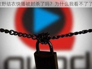 波野结衣快播被封杀了吗？为什么我看不了了？