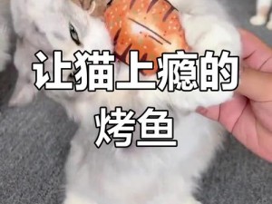 就喜欢听你叫 1V1 烤鱼猫，为什么？如何解决？