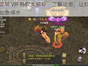 烈焰龙城 VIP 特权大揭秘：了解这些，让你在游戏中如鱼得水