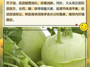 集合啦动物森友会大头菜价值揭秘：全方位解读大头菜的作用与用途