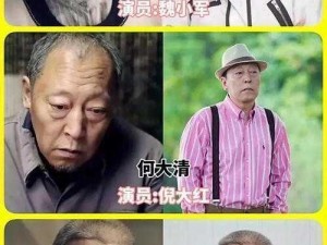 为什么全肉情满四合院？