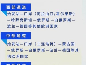 欧亚专线欧洲W码-请详细介绍欧亚专线欧洲 W 码的运输流程及相关规定？