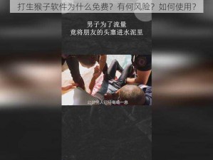 打生猴子软件为什么免费？有何风险？如何使用？