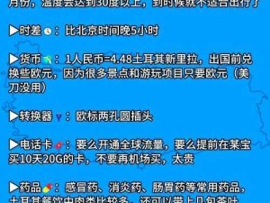 爱的小冒险：一场温馨而刺激的浪漫之旅简介