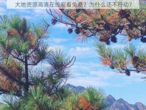 大地资源高清在线观看免费？为什么还不行动？