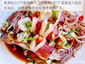 鱿鱼B25777直接进入【鱿鱼 B25777 直接进入指定区域后，后续的操作流程是怎样的？】