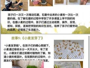 手工星球小麦种植心得：收获技巧与秘诀分享