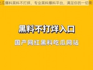 吃瓜爆料黑料不打烊，专业黑料爆料平台，满足你的一切需求