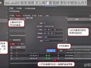 palipali2 播放线路怎么用？看视频遇到卡顿怎么办？