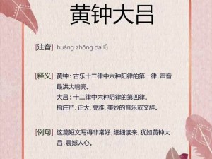 为什么锕锵锵锵铜铜铜铜会这么大？有什么方法可以解决这个问题？