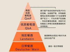 精产国品一二三产品区别在哪里5(精产国品一二三产品区别在哪里 5：从材质、功能到使用体验全面对比)