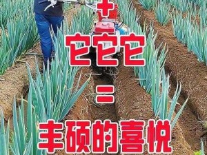 耕了母亲荒废土地，让它重新焕发生机——[产品名称]助您一臂之力