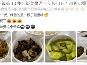 部长来家里吃饭第 10 集：饭菜是否合部长口味？部长此番前来有何目的？