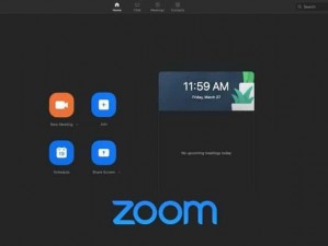 俄罗斯 ZOOM 人是怎么利用 ZOOM 的？