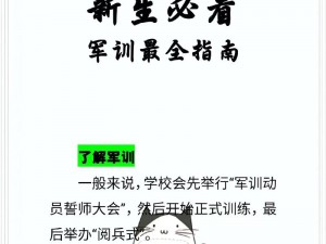 如何通过军训大作战第 7 关：详细攻略指南