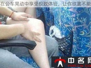 在公车晃动中享受极致体验，让你欲罢不能