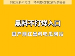 网红黑料不打烊，带你揭秘网红背后的秘密