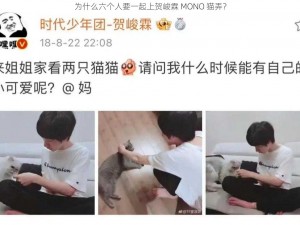 为什么六个人要一起上贺峻霖 MONO 猫弄？