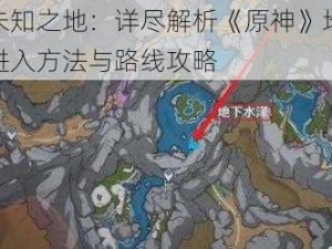 探索未知之地：详尽解析《原神》地下水泽的进入方法与路线攻略