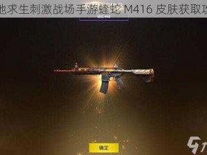 绝地求生刺激战场手游蝰蛇 M416 皮肤获取攻略