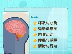 探索数字谜题：揭秘燃烧大脑第67关攻略，开启思维的火花