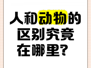 人和物动物交互在线中，动物为何如此重要？