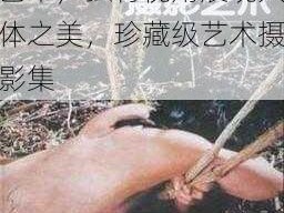 137 大胆人体摄影艺术，独特视角展现人体之美，珍藏级艺术摄影集