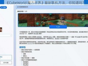 《CubeWorld 魔方世界》最新联机方法，你知道吗？