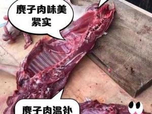 每天在汆肉中醒来，醒来后还能看到动物，这是为什么？