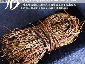 为什么好屌草这里只有精品？如何找到更多精品？