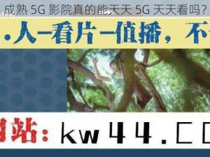 成熟 5G 影院真的能天天 5G 天天看吗？